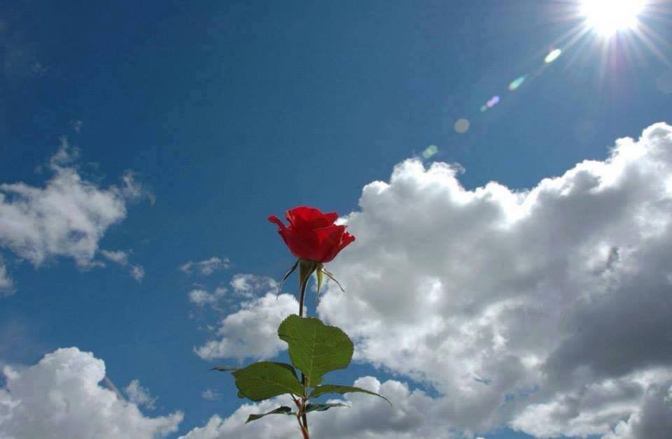 kg0854dzdbn.jpg