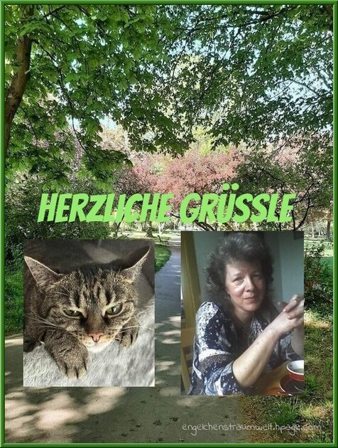 An den Beitrag angehängtes Bild: https://img1.dreamies.de/img/32/b/p9uli2jycc8.jpg
