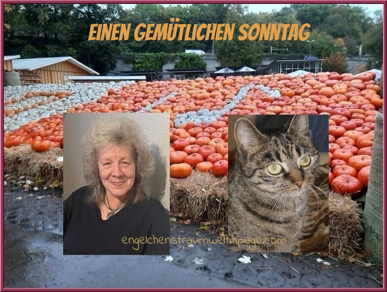 egzthrx166j.jpg
