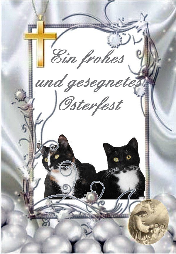 An den Beitrag angehängtes Bild: https://img1.dreamies.de/img/324/b/3bbe41cesm8.jpg