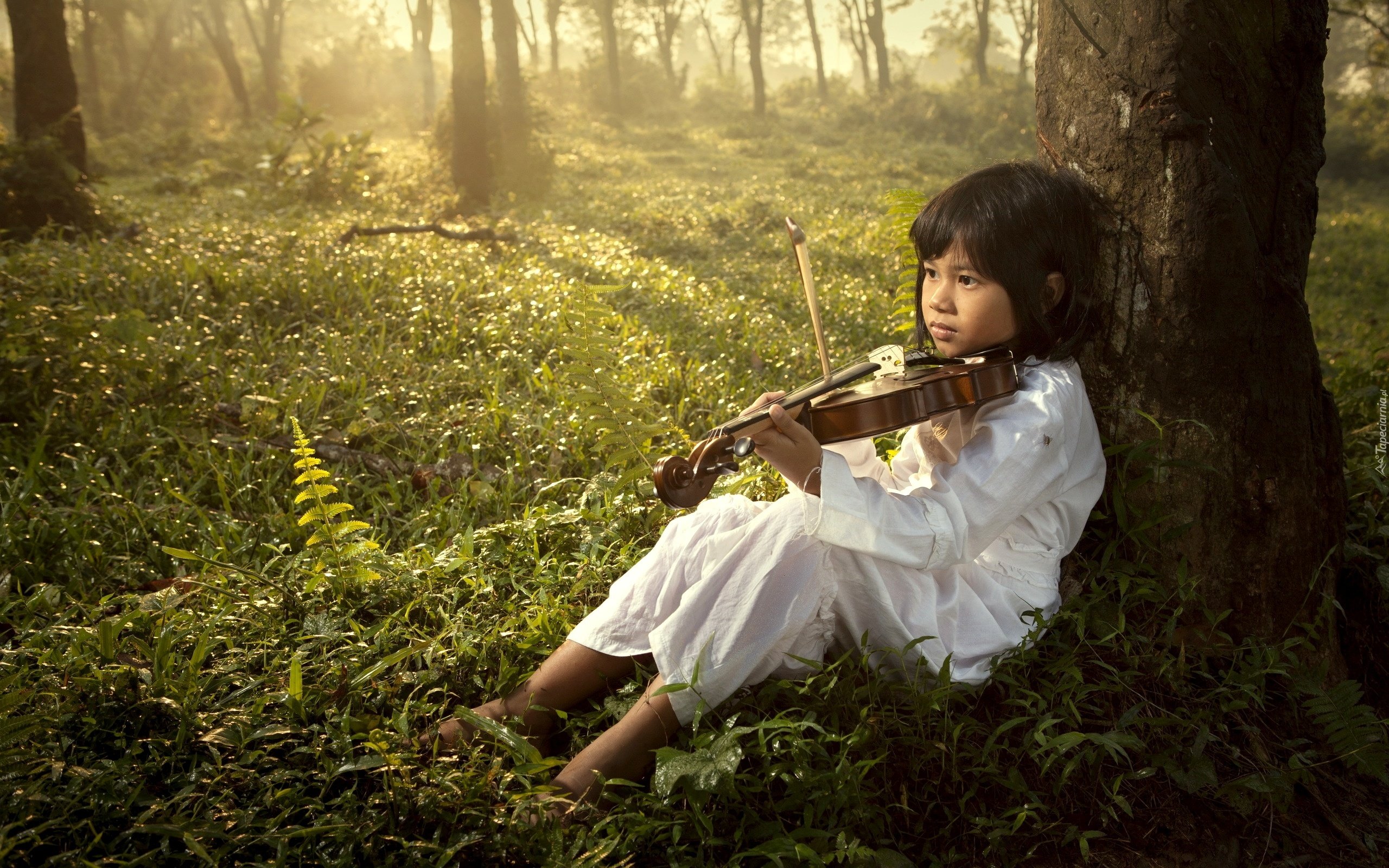 Природа под песню. Скрипка для детей. Девочка со скрипкой. Скрипачка на природе. Скрипка в лесу.