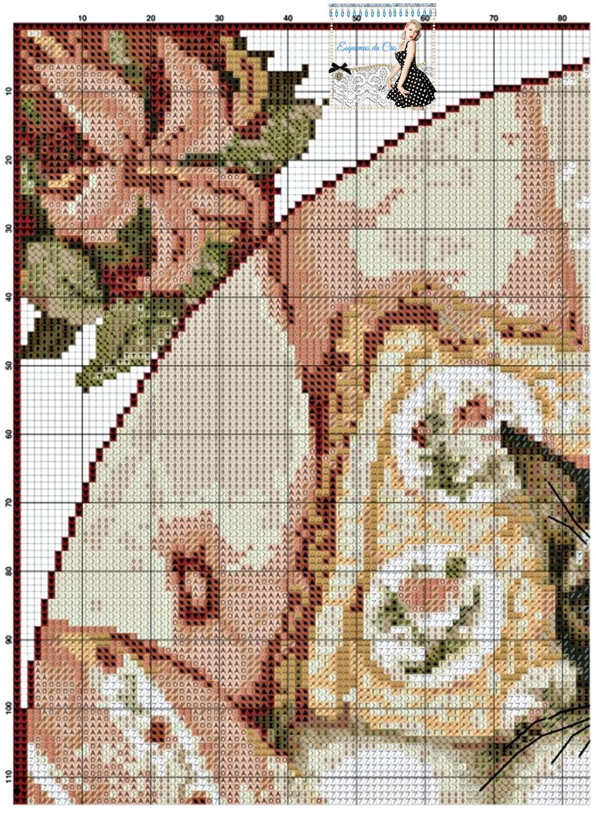 Grafico de Gatos Siameses