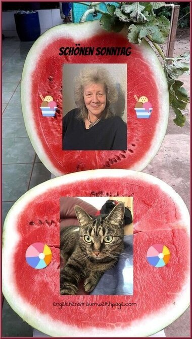 An den Beitrag angehängtes Bild: https://img1.dreamies.de/img/35/b/thy2kohjtia.jpg