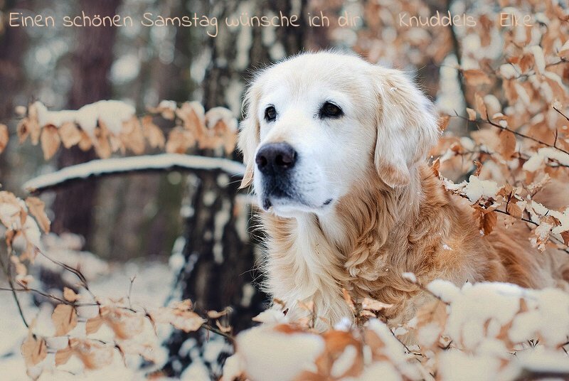 An den Beitrag angehängtes Bild: https://img1.dreamies.de/img/358/b/n8elzn9q36p.jpg