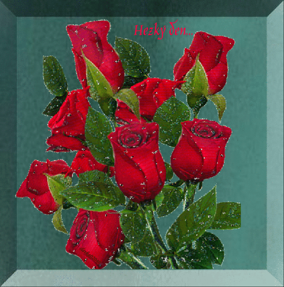 rtd8nkqqut2.gif