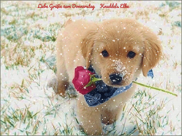 An den Beitrag angehängtes Bild: https://img1.dreamies.de/img/36/b/opzt2c56kuh.gif