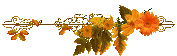 4gtv27o0jo9.gif