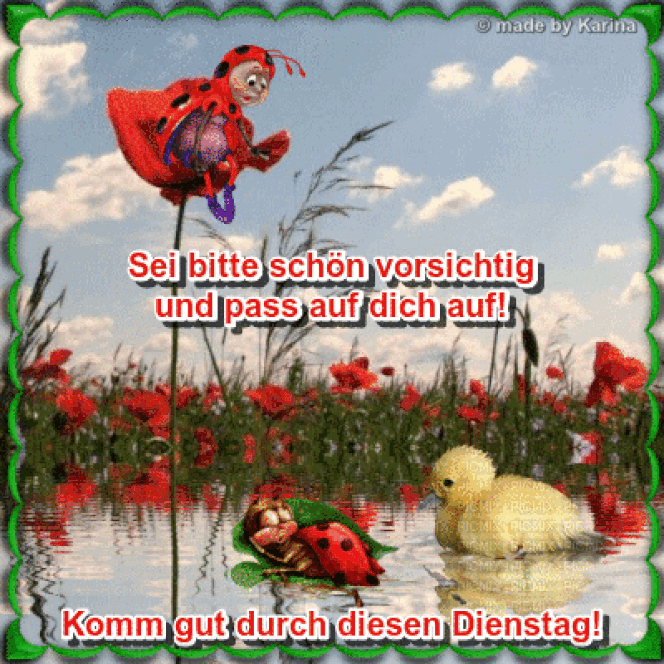 cnfrdzgh1y2.gif