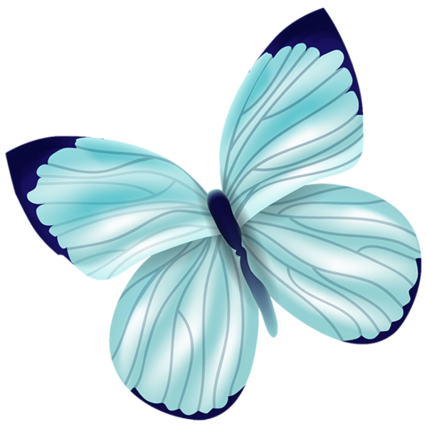 Бело голубые бабочки. Бирюзовые бабочки. Нежно голубые бабочки. Бабочки белые и бирюзовые. Бабочки нежно бирюзовые.