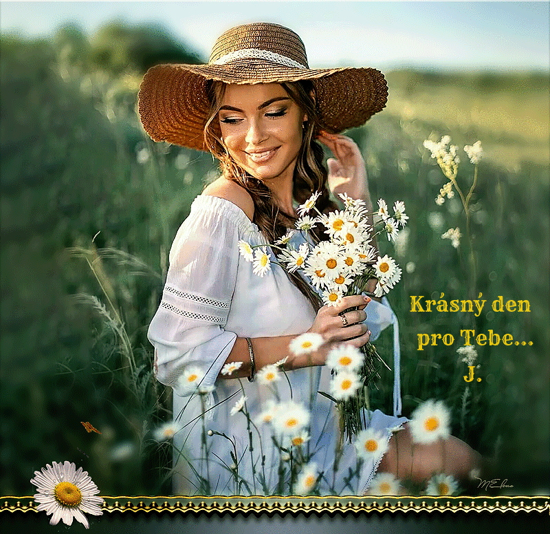 7z24pk3nfoe.gif