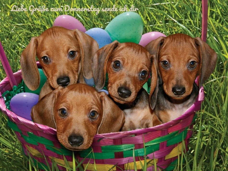 An den Beitrag angehängtes Bild: https://img1.dreamies.de/img/387/b/l3az1hrj8dn.jpg