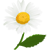mt0eqwum3ff.png