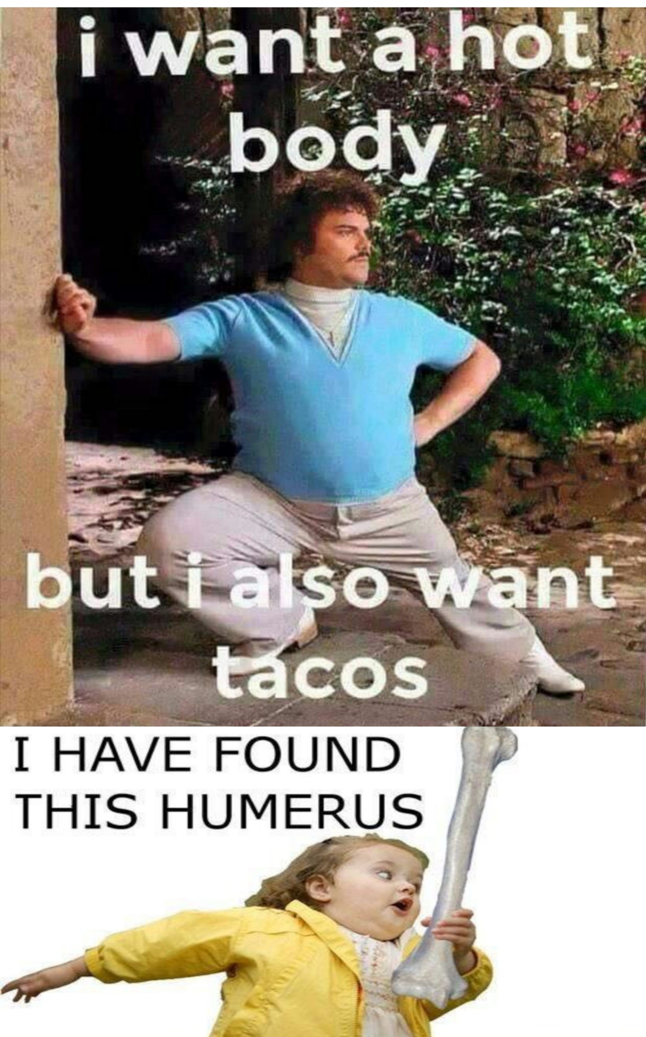 1hn02vnvg40.png