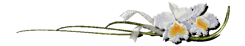 cxjr7xa1ao2.gif
