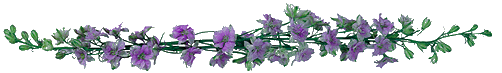 ewd9ordhfk8.gif