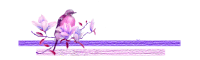 u6n9pw19rl1.gif