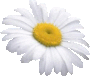 9pe1xyd9sis.gif