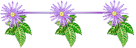 gaciu8at26j.gif