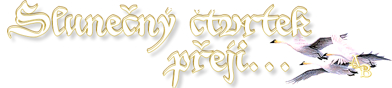 ykoqqh731cs.png