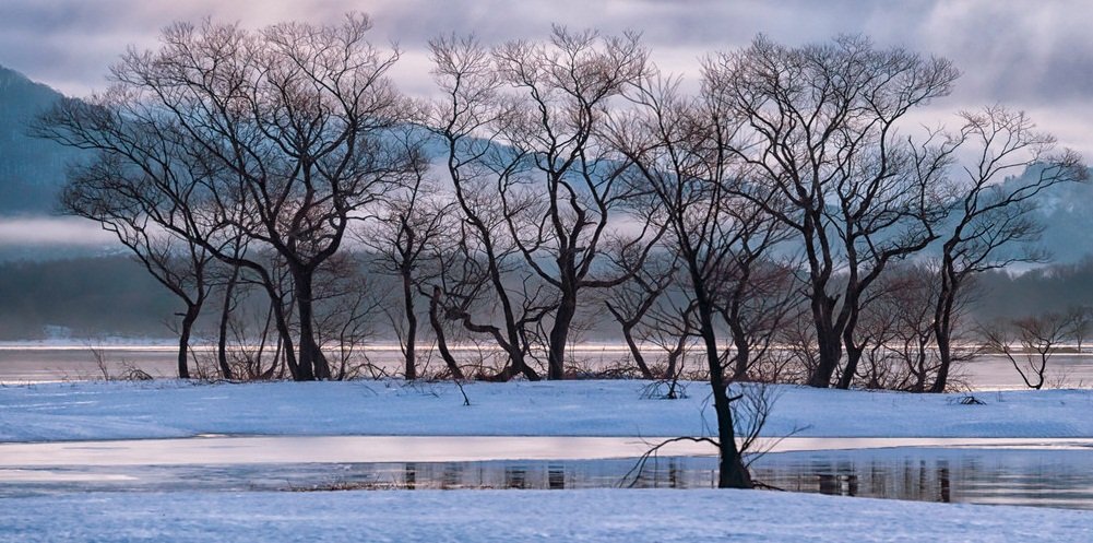 Zimski pejzaži-Winter landscapes - Page 12 Ar0xbfts29p