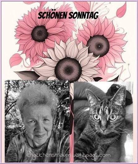 An den Beitrag angehängtes Bild: https://img1.dreamies.de/img/518/b/7kynk0kt69r.jpg