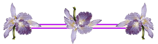 k0gfkl47kl.gif