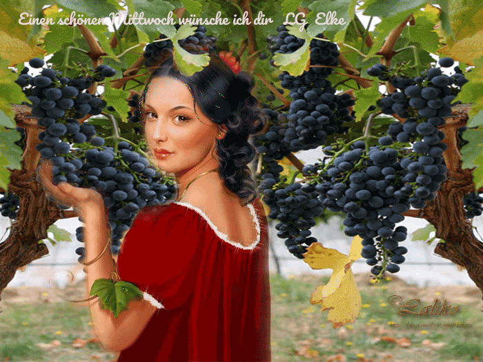 An den Beitrag angehängtes Bild: https://img1.dreamies.de/img/527/b/adn58ouehhb.gif