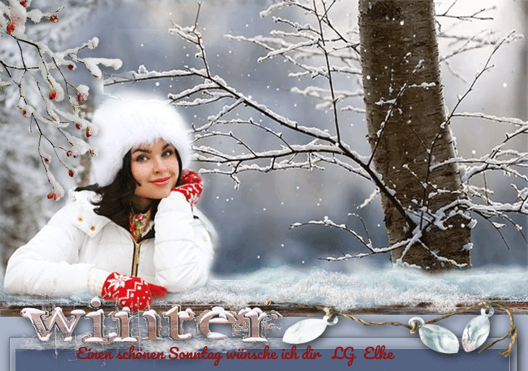 An den Beitrag angehängtes Bild: https://img1.dreamies.de/img/538/b/k3r76q7g3wq.gif