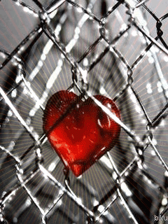 i3ejjv4f27x.gif