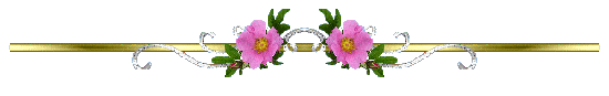 uwdkq6z169e.gif