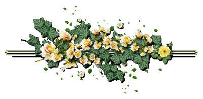 ux55ajalf1d.gif