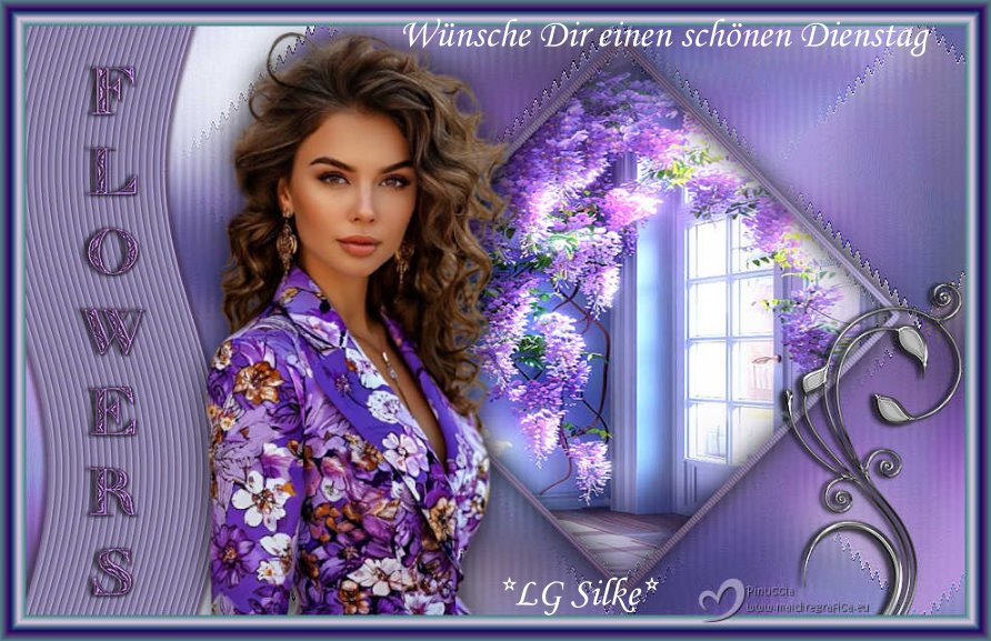 An den Beitrag angehängtes Bild: https://img1.dreamies.de/img/563/b/ifv4janm5qt.jpg