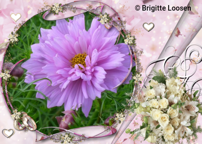 An den Beitrag angehängtes Bild: https://img1.dreamies.de/img/569/b/lx6wh6lum80.png