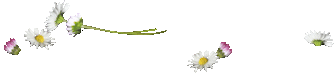 tgs4uq4uflq.gif