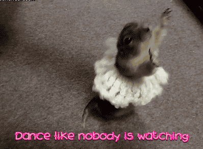 nh585765h8q.gif