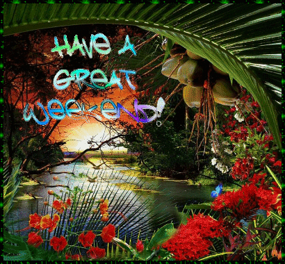 wm6f44z6m0r.gif