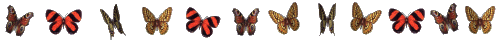 předěl