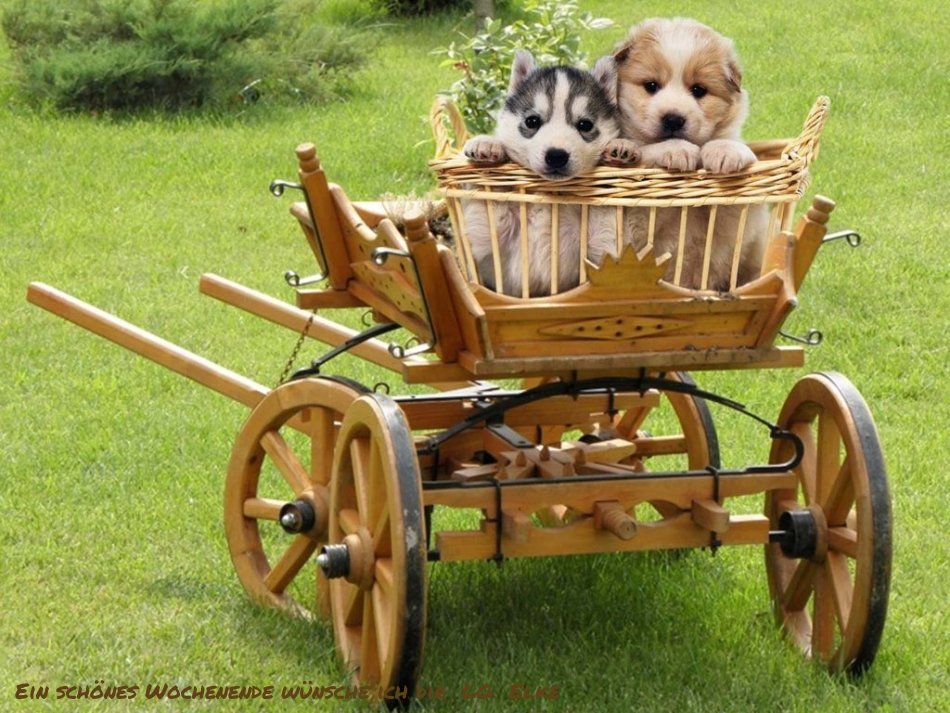 An den Beitrag angehängtes Bild: https://img1.dreamies.de/img/585/b/xuauxfjzwfv.jpg