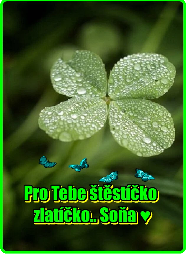 4h6pnskq3jw.webp