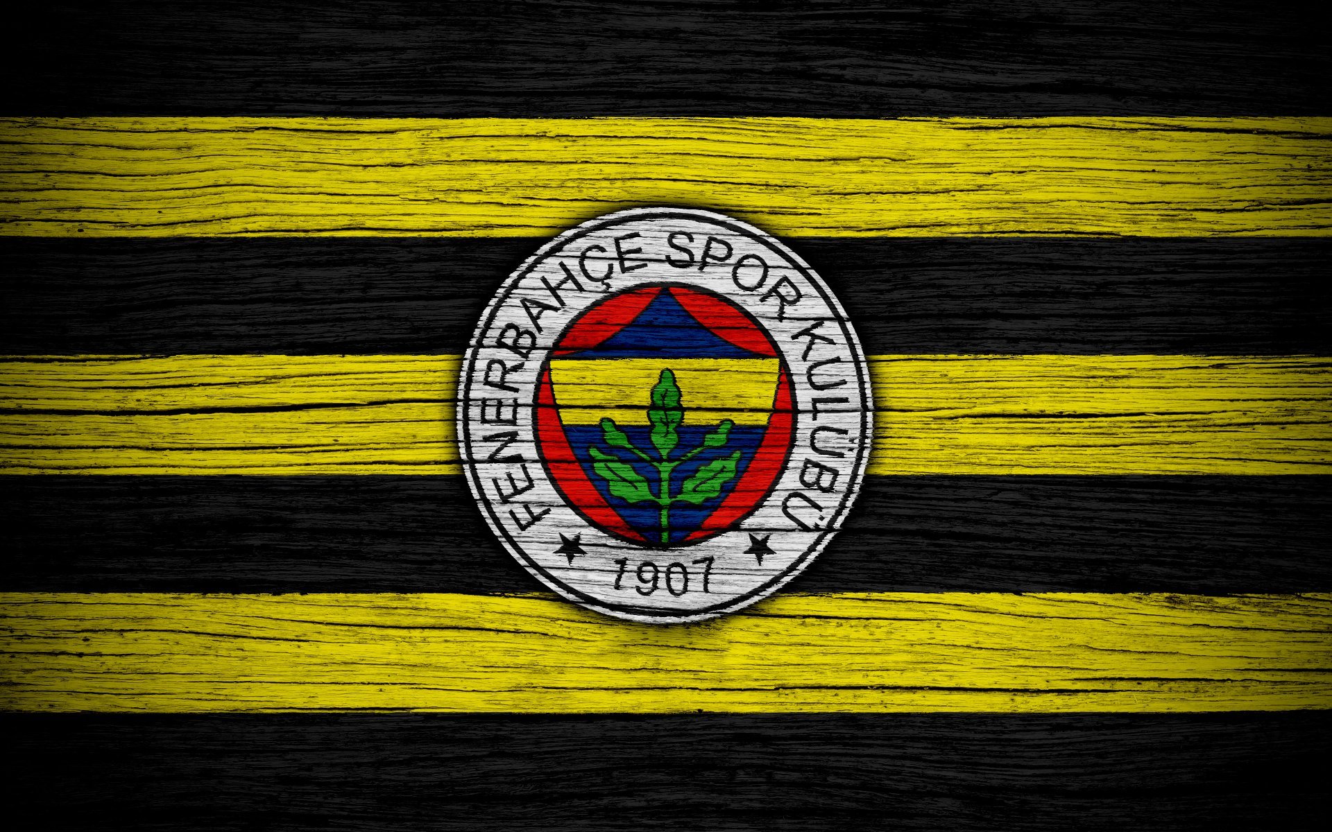 Fenerbahçe Resimleri