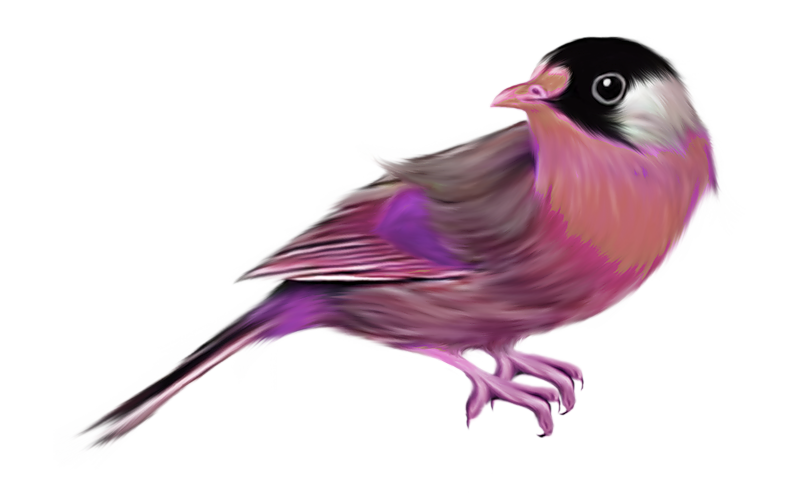 78uusirrzc3.png