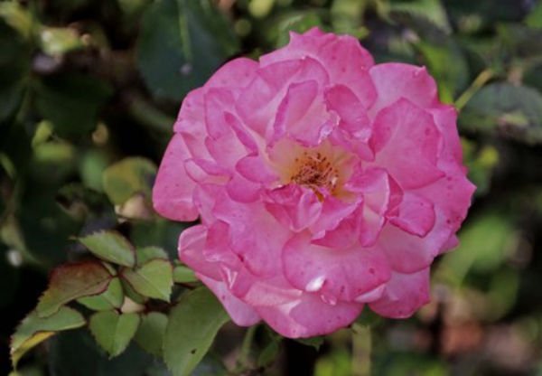 vft649bbjyf.jpg