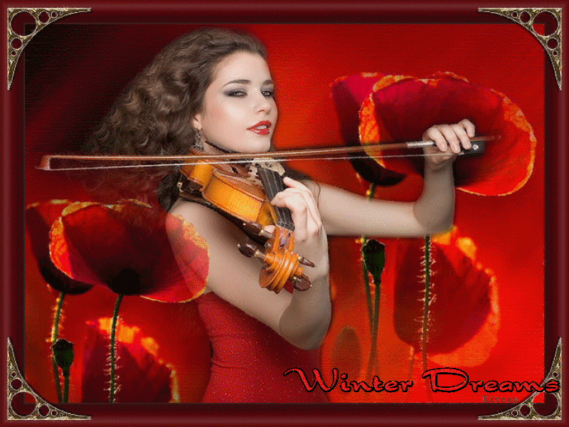 Девушки со скрипкой. Женщина со скрипкой. Спасибо скрипка. Гифка скрипачка.