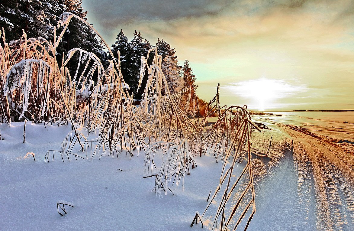 Zimski pejzaži-Winter landscapes - Page 12 Ltvlh4s8wdu