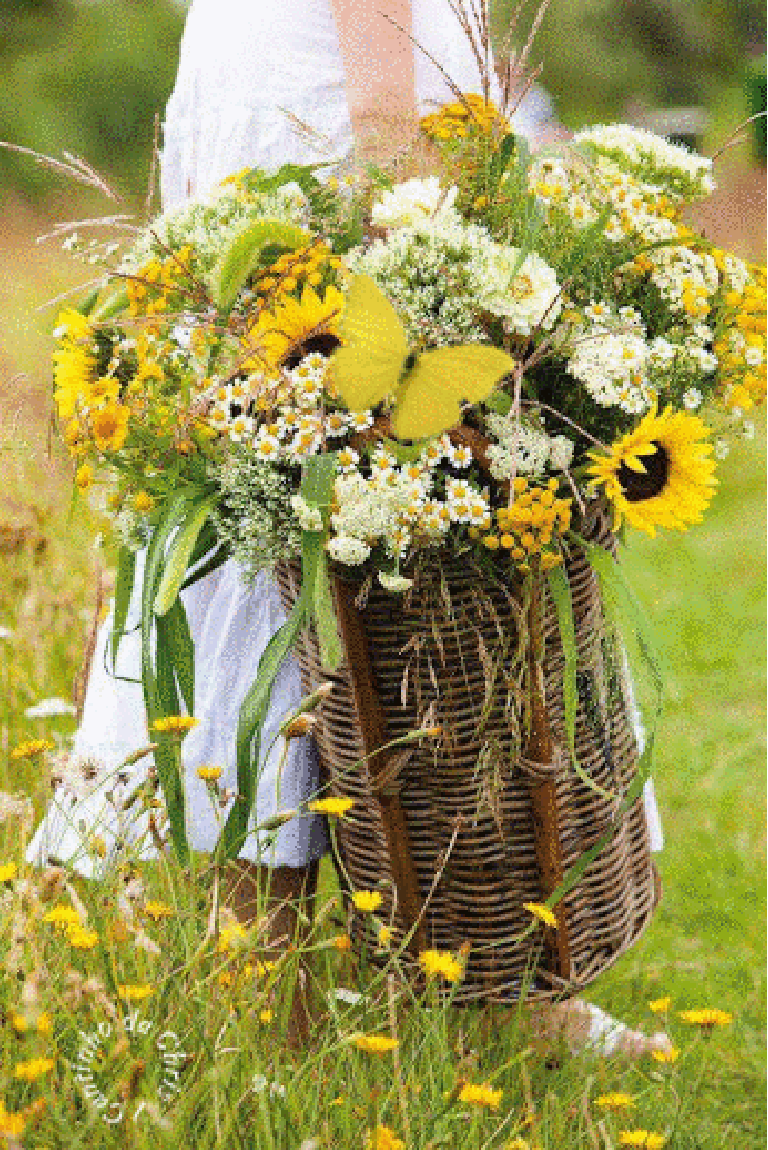pe1lgq71ng7.gif