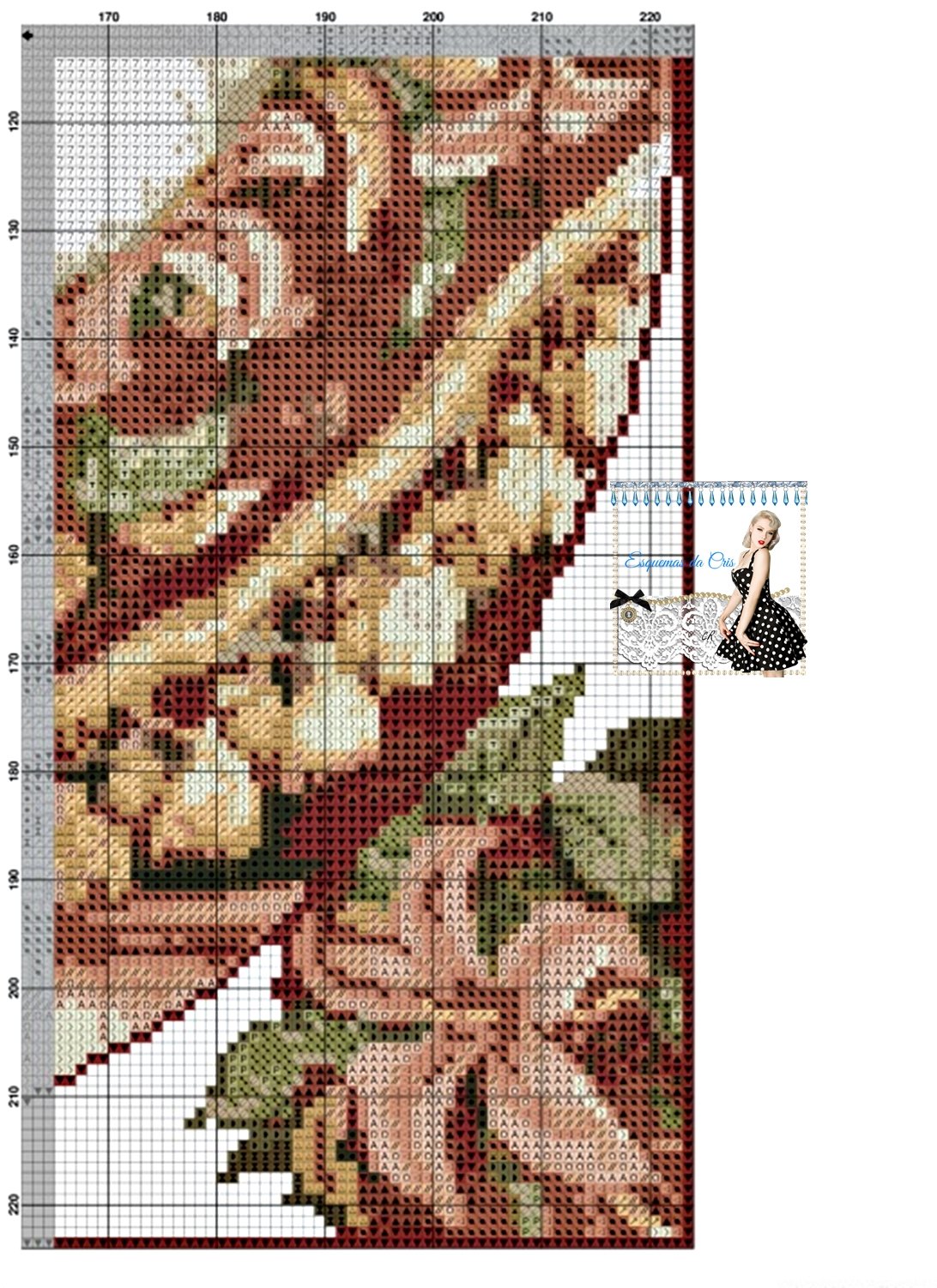 Grafico de Gatos Siameses