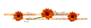 76rkvnx4n2a.gif