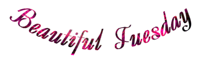 57o7n5kl8w7.gif