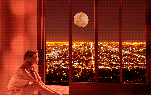 qk8weaa9r7q.gif