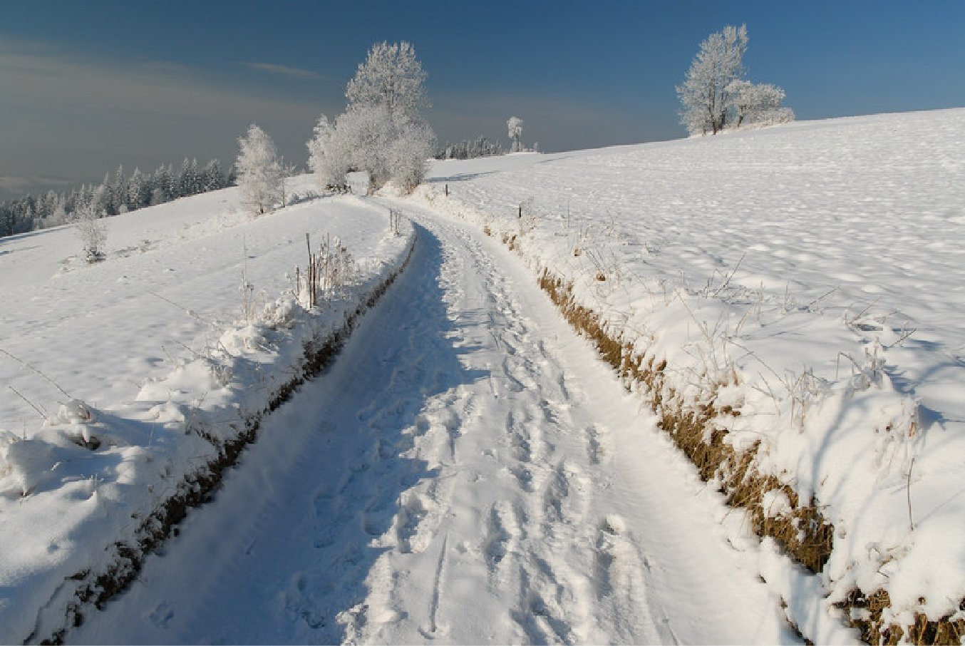 Zimski pejzaži-Winter landscapes - Page 15 Yiqk910g3te